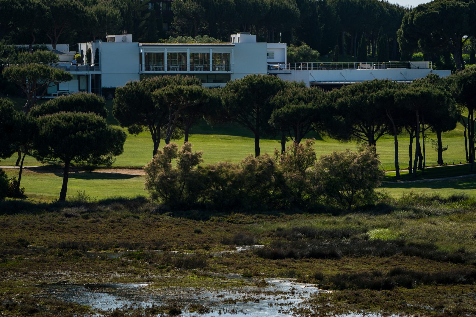 Doñana & Marshlands Getaway