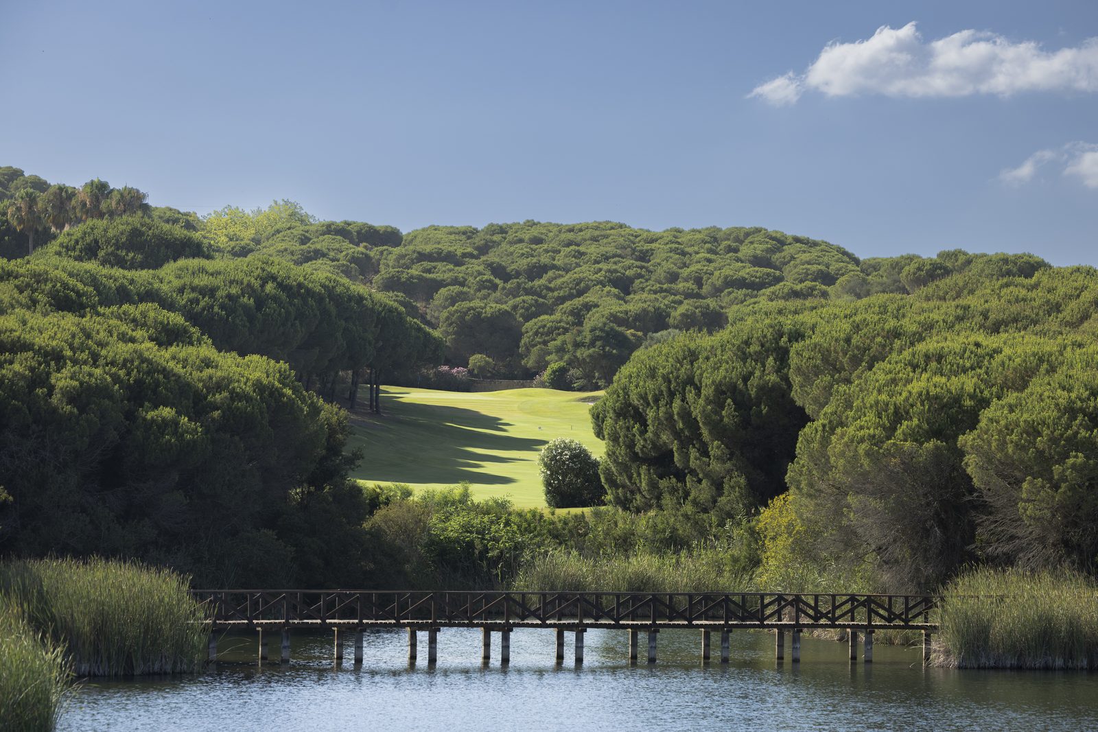 SO/ Sotogrande