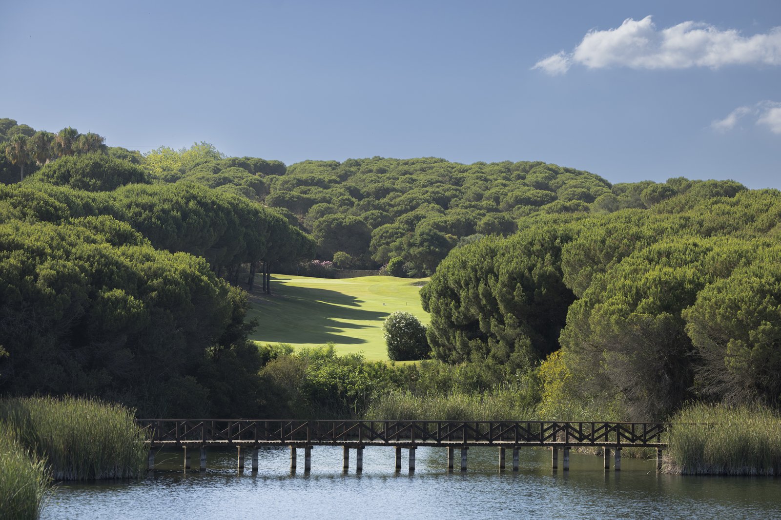 Fairway framed by pine forest at Almenara Golf